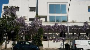 Отель Hotel Calla'  Поликоро